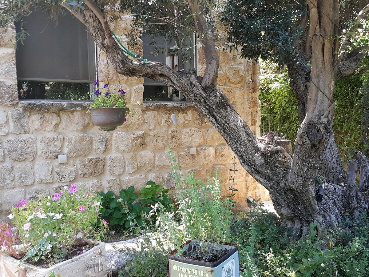 The House Of Taly & Erez Hotel Netaim Exterior photo